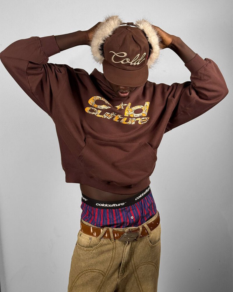 bambi-cap-brown-3408409.jpg bambi-cap-brown-3408409.jpg