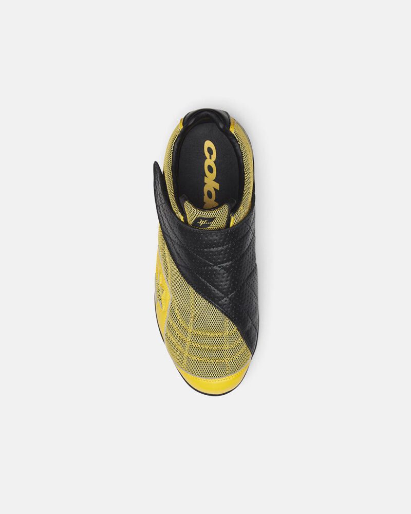 cold-hook-sneaker-yellow-3482860.jpg cold-hook-sneaker-yellow-3482860.jpg