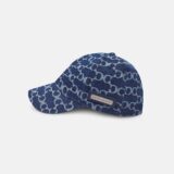 fever-cap-blue-6793355.jpg