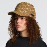 fever-cap-brown-3584450.jpg