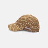 fever-cap-brown-6379869.jpg