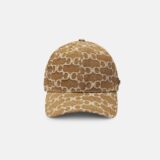 fever-cap-brown-7878651.jpg