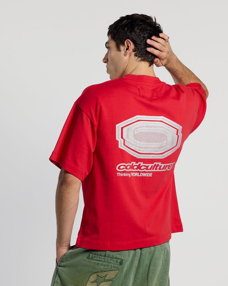 glitter-tee-red-6439531.jpg glitter-tee-red-6439531.jpg