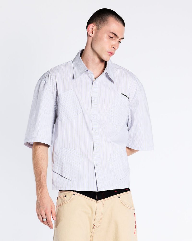 honolulu-shirt-5254416.jpg honolulu-shirt-5254416.jpg