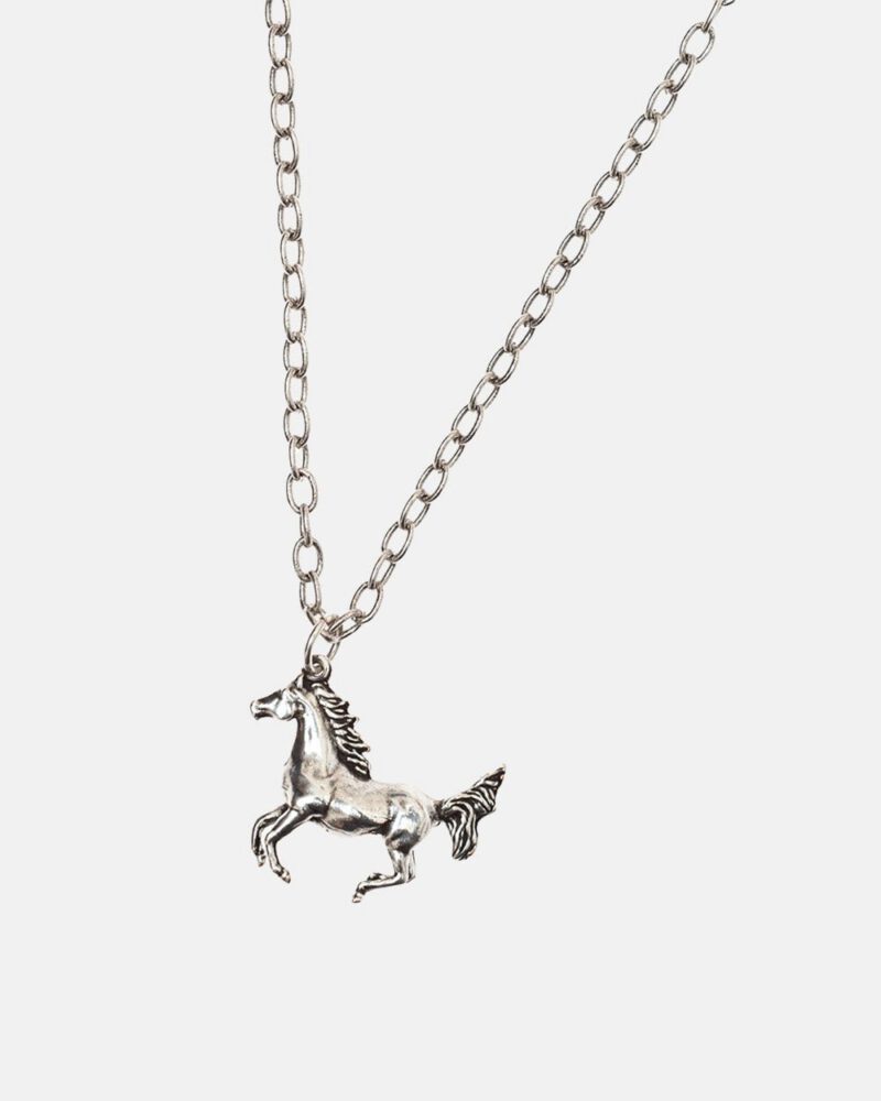 horse-necklace-7559536.jpg horse-necklace-7559536.jpg