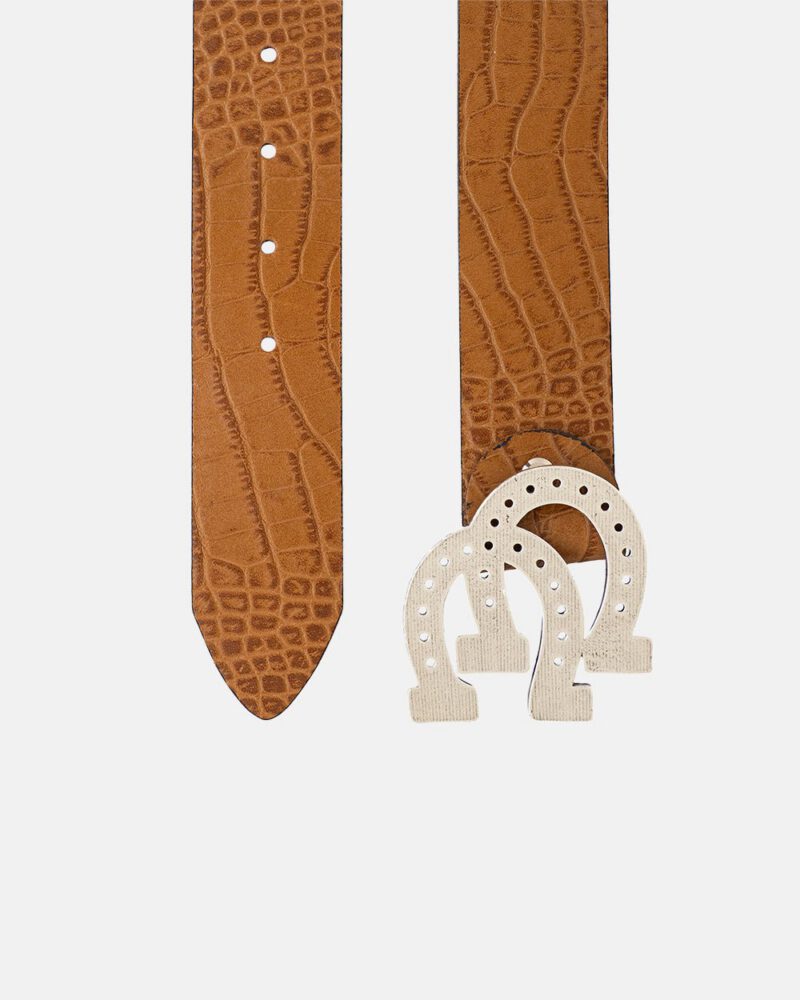 horseshoe-belt-testa-crocodile-617517.jpg horseshoe-belt-testa-crocodile-617517.jpg