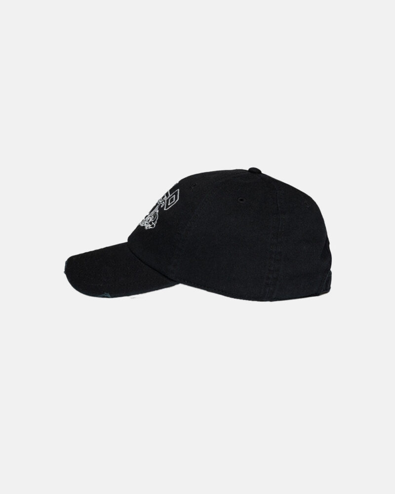 panthers-cap-black-8288076.jpg panthers-cap-black-8288076.jpg