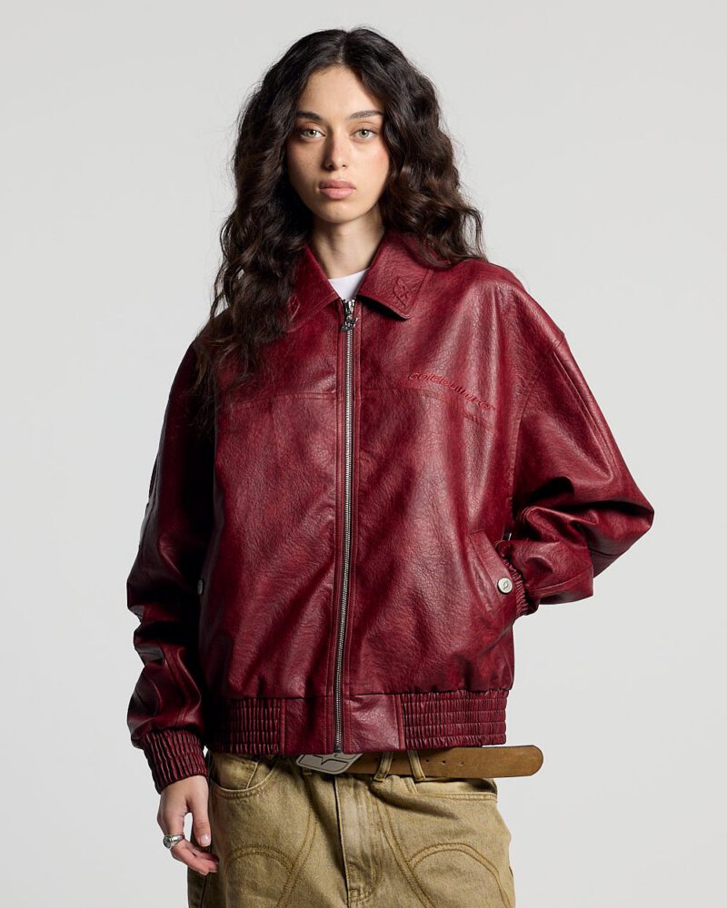 racing-leather-jacket-red-2186585.jpg racing-leather-jacket-red-2186585.jpg