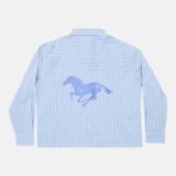 running-horse-shirt-blue-stripes-1996885.jpg