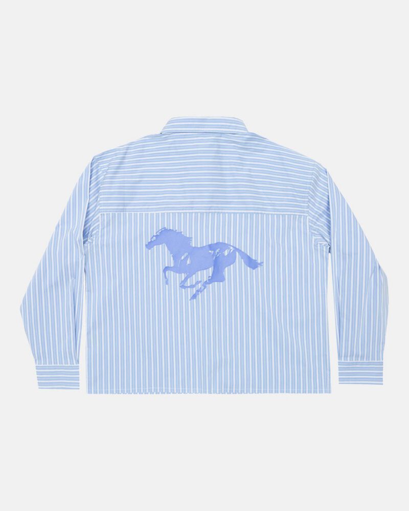 running-horse-shirt-blue-stripes-1996885.jpg running-horse-shirt-blue-stripes-1996885.jpg