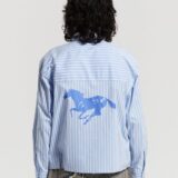 running-horse-shirt-blue-stripes-7296712.jpg