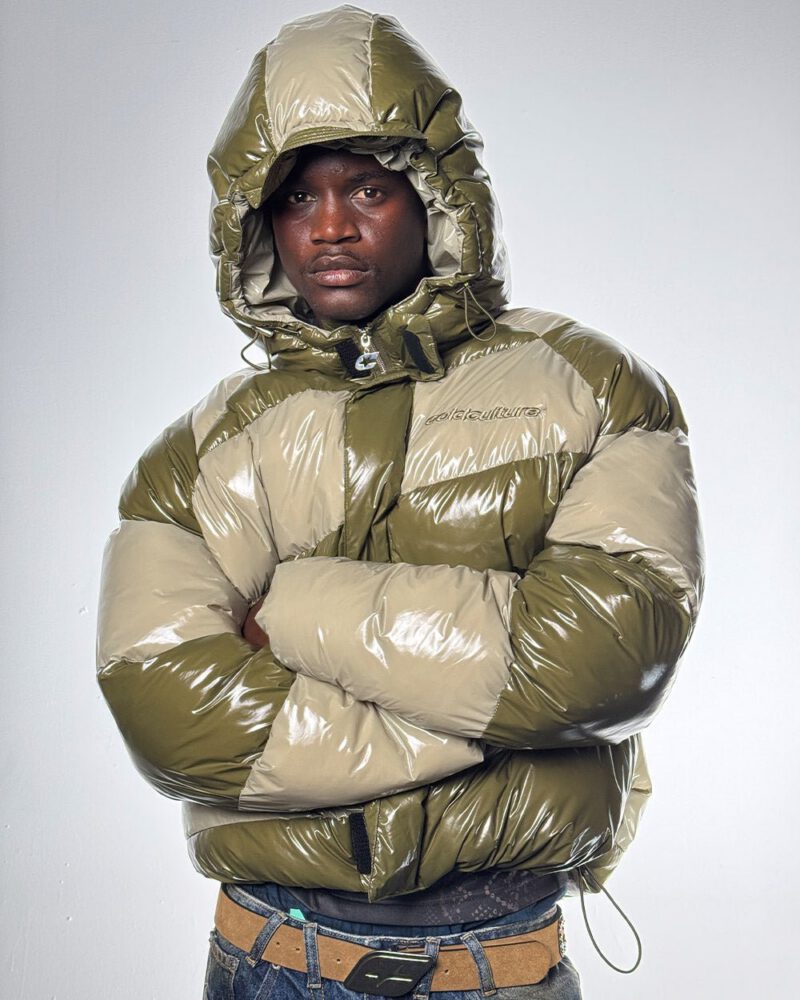 spiral-puffer-glossy-green-mix-4840774.jpg spiral-puffer-glossy-green-mix-4840774.jpg