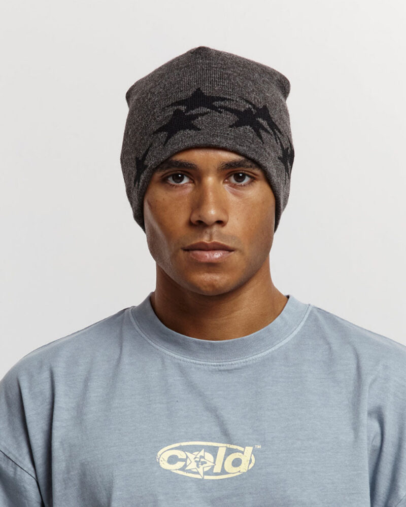 stars-beanie-grey-8895401.jpg stars-beanie-grey-8895401.jpg