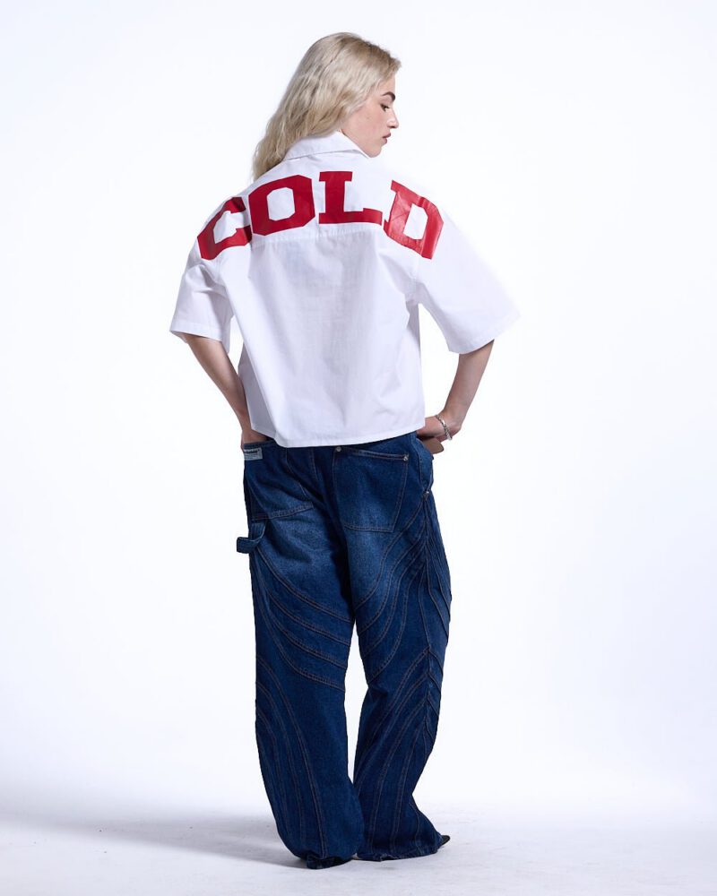 sweden-shirt-white-4100917.jpg sweden-shirt-white-4100917.jpg