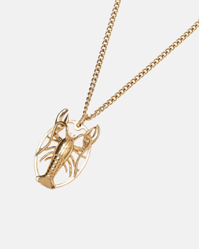 the-golden-lobster-necklace-5518627.jpg