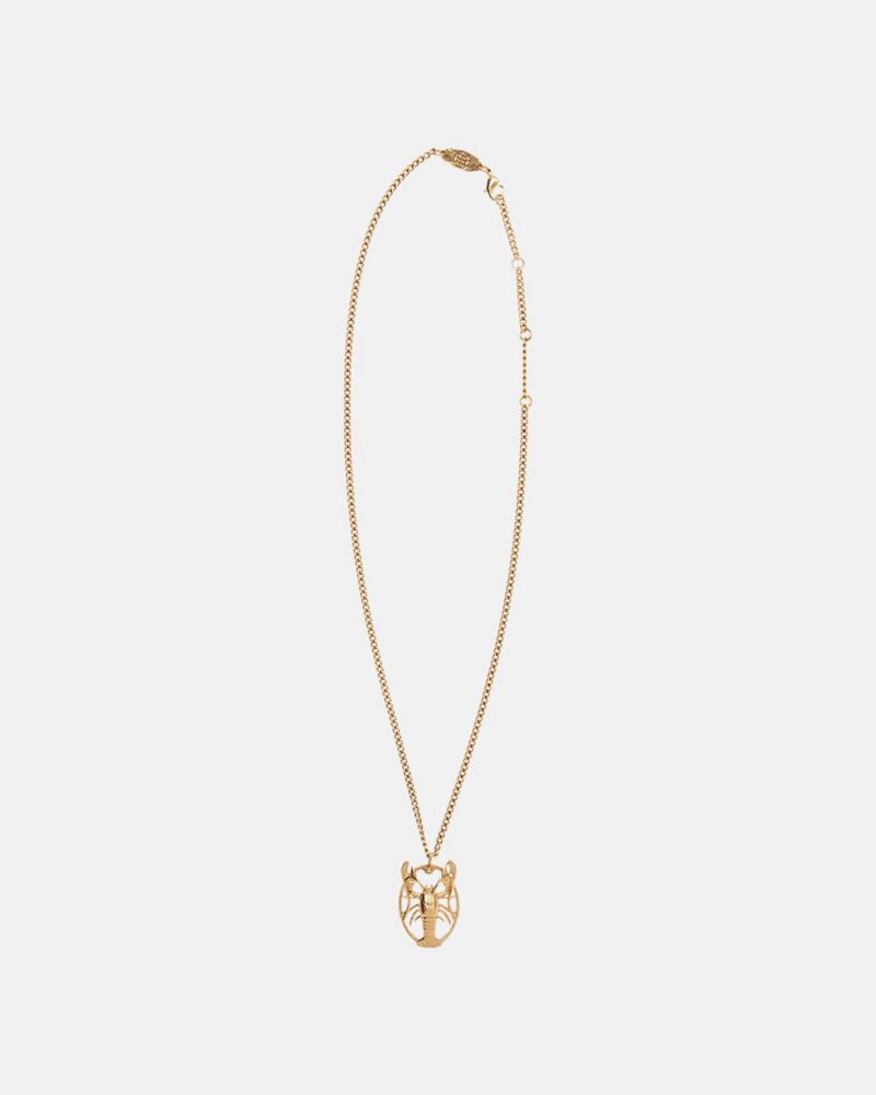 the-golden-lobster-necklace-9782430.jpg the-golden-lobster-necklace-9782430.jpg