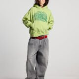 wild-hoodie-green-8761768.jpg