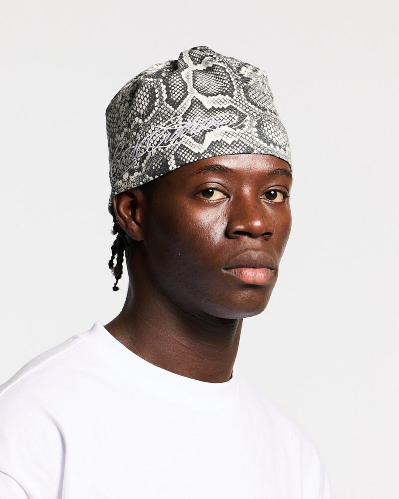 wild-script-beanie-snake-5147229.jpg wild-script-beanie-snake-5147229.jpg