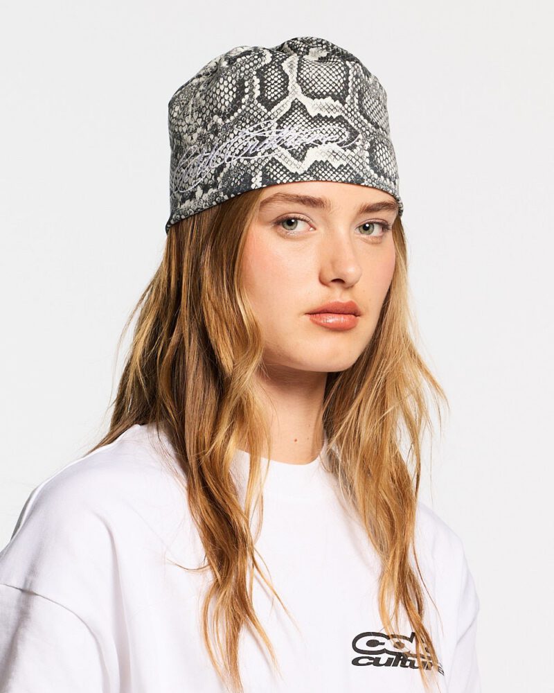 wild-script-beanie-snake-9098008.jpg wild-script-beanie-snake-9098008.jpg